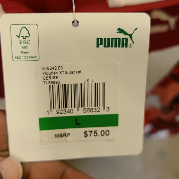 Puma - Picture 4 of 4